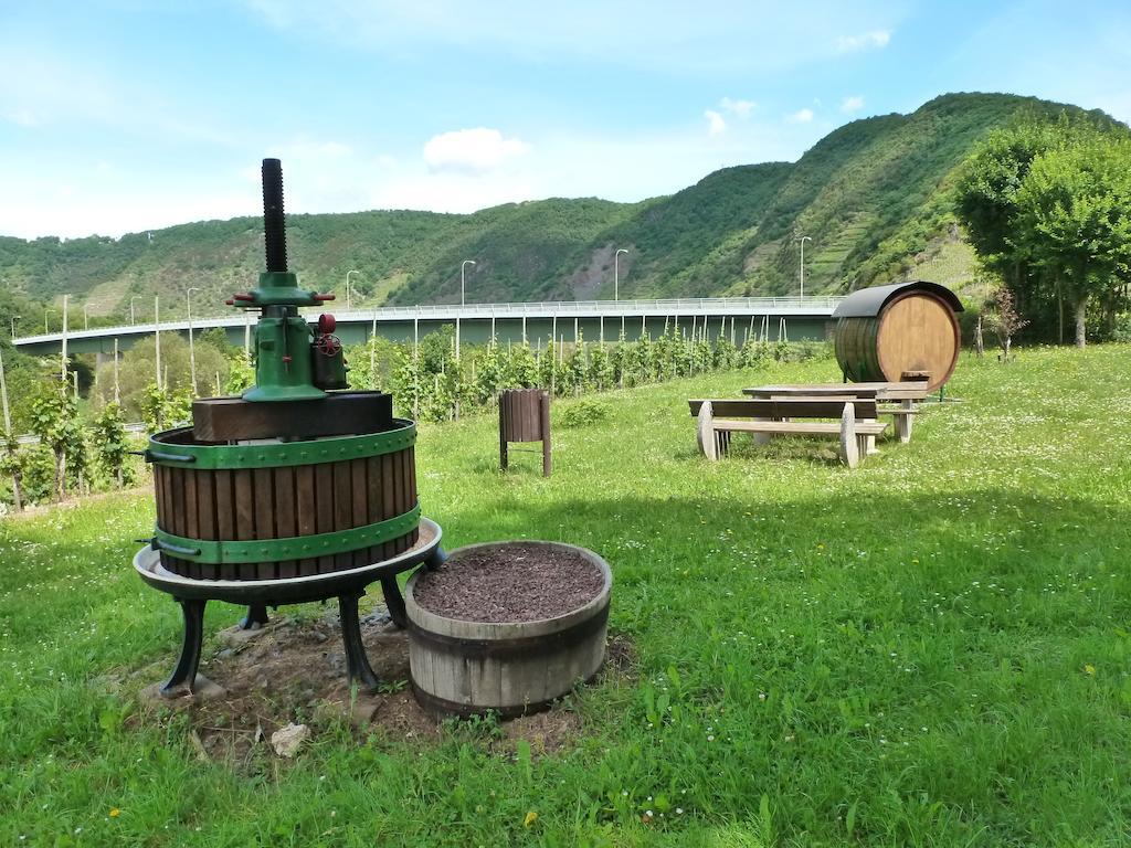 Ferienwohnungen Am Bruttiger Moselsteig Room photo