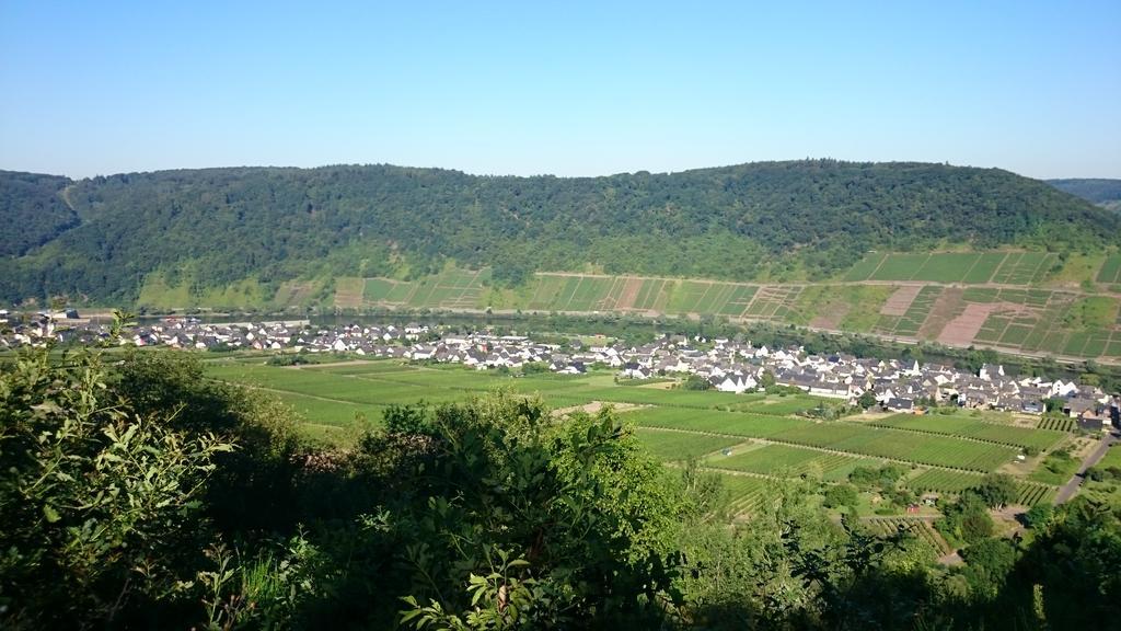 Ferienwohnungen Am Bruttiger Moselsteig Exterior photo